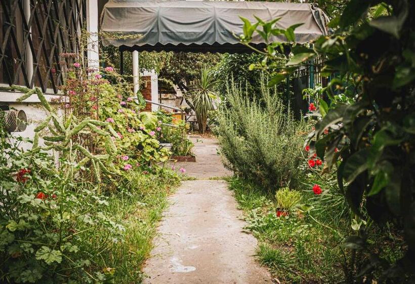 فندق صغير Hostal Salvador