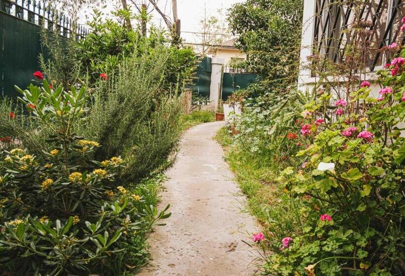 فندق صغير Hostal Salvador