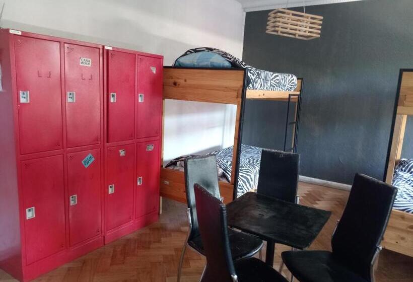 فندق صغير Hostal Salvador