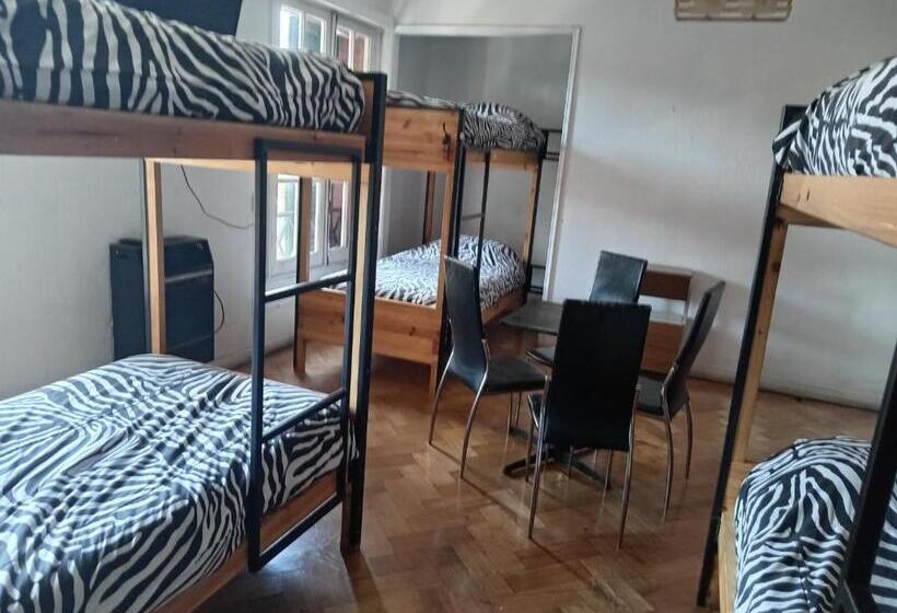 فندق صغير Hostal Salvador