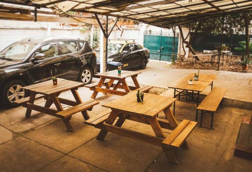 فندق صغير Hostal Salvador