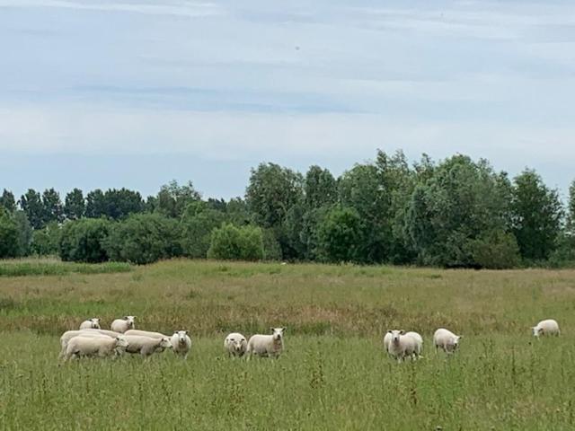 B&b Petit Chateau   Stijlvol Verblijf Voor Werk En Ontspanning