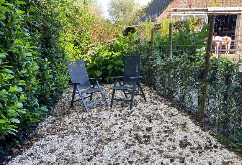 Bed and Breakfast Bb Sunshine