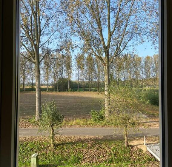 Bed and Breakfast Bb Sunshine