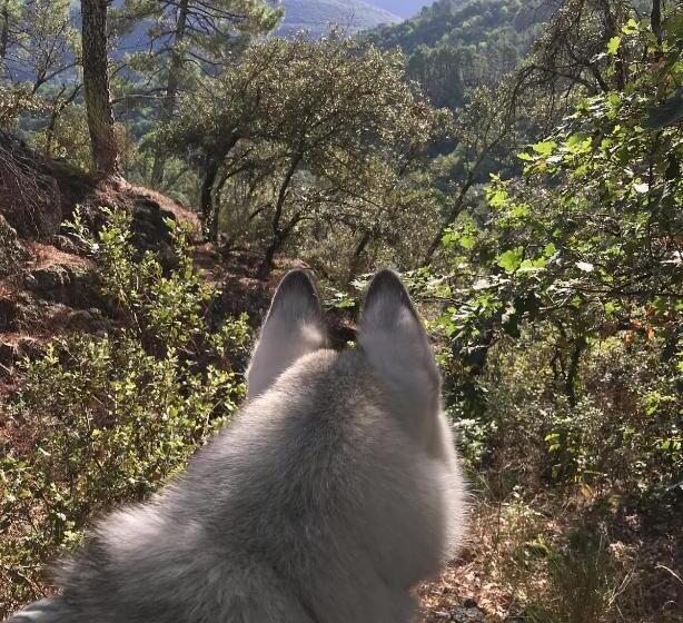 צימר Chambre D Hôte Lavande   Le Soleil Des Cévennes