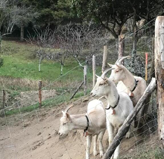 צימר Chambre D Hôte Lavande   Le Soleil Des Cévennes