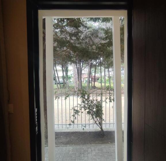 צימר Edi Murrizi