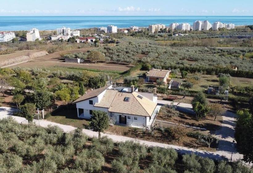 Bed and Breakfast Essentia Rooms & Relax