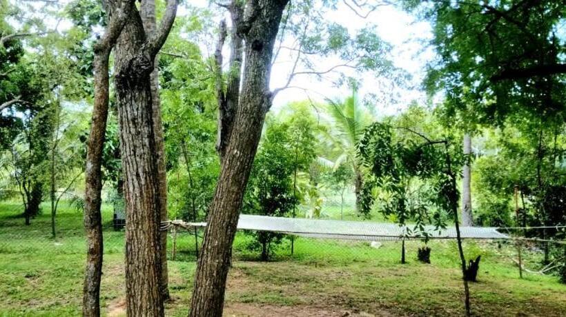 Bed and Breakfast Sorry We Are Close Now!! Green View Cabana