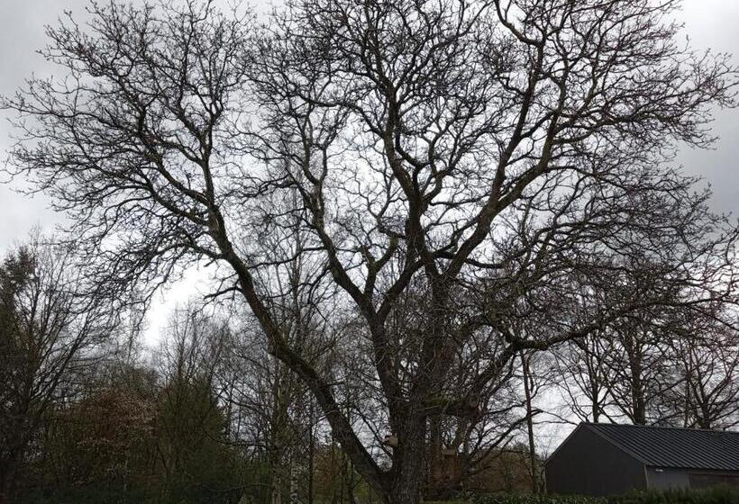 مبيت وإفطار Le Vieux Noyer