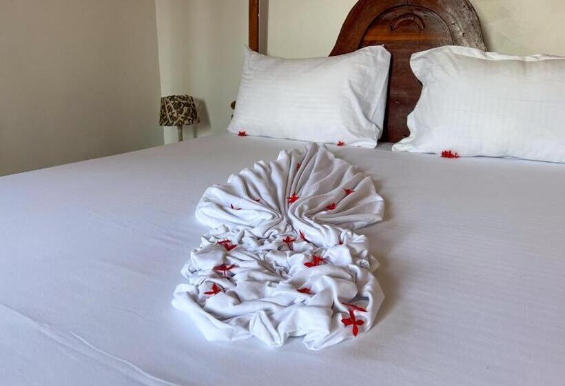 Bed and Breakfast Tropical Yellow Beach Nest