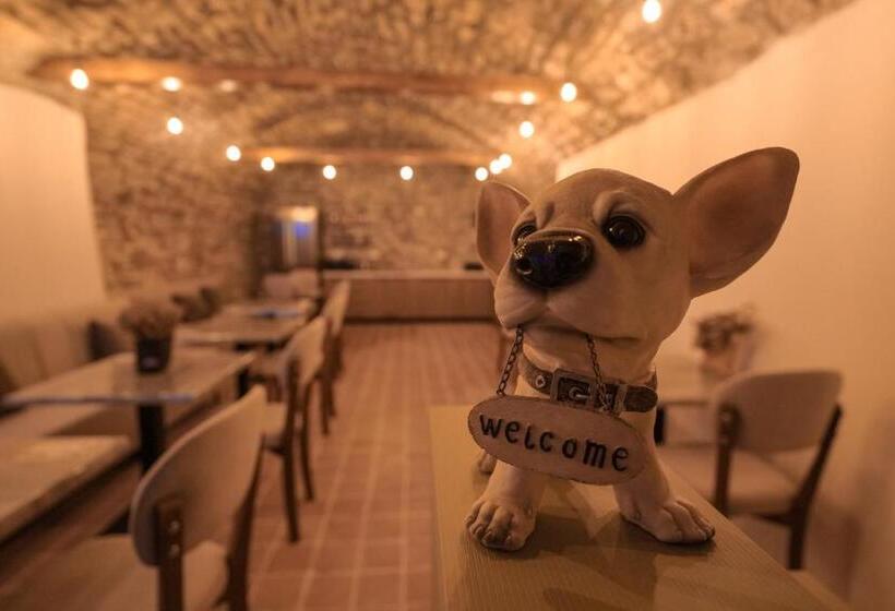 Helin S Hostel By Backpackers