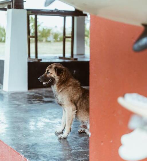 هتل Alon Cloud9, Beach Front