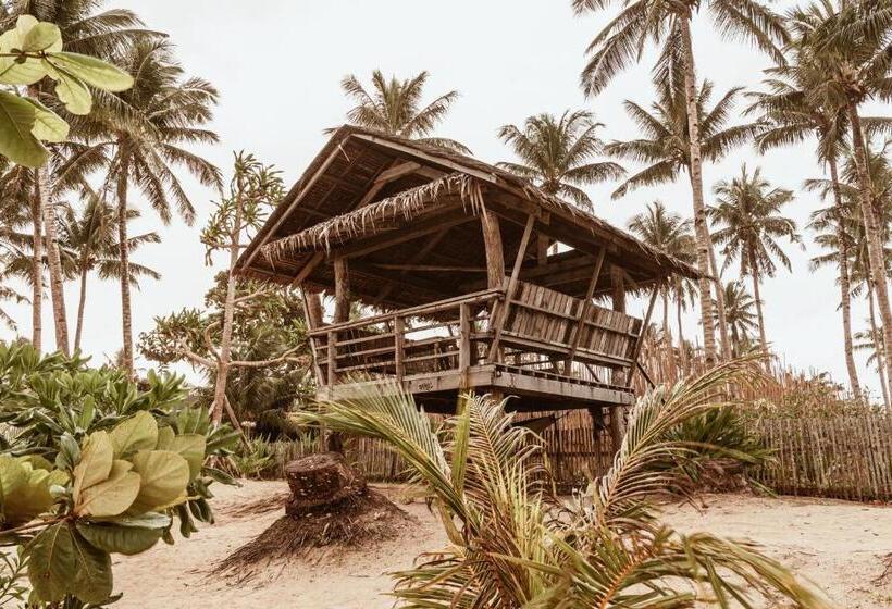 هتل Alon Cloud9, Beach Front