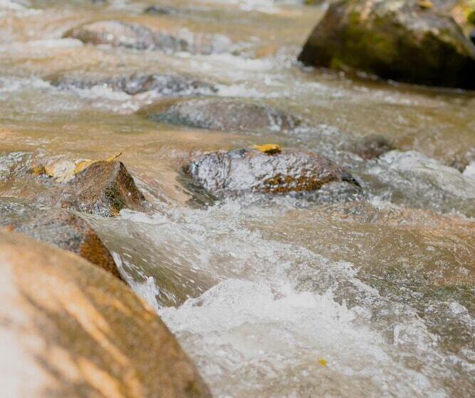 בית מלון כפרי Casa De Hadas