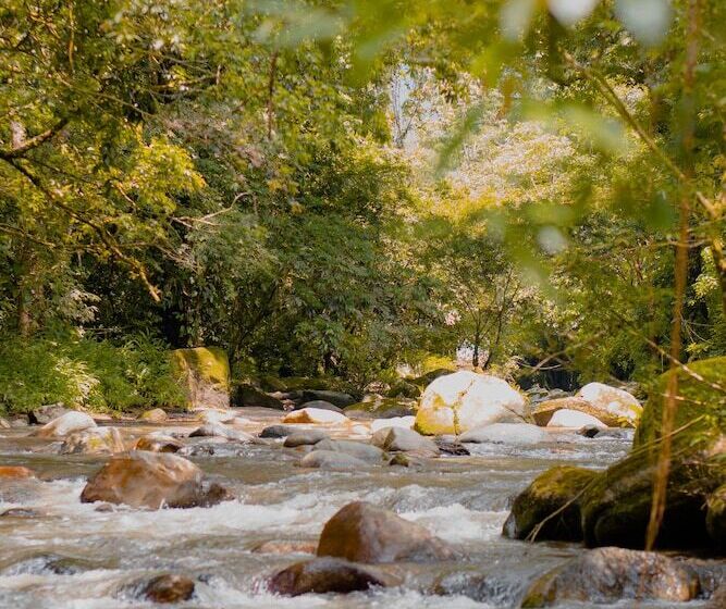 בית מלון כפרי Casa De Hadas