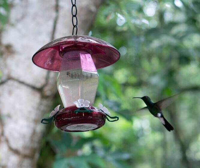 בית מלון כפרי Casa De Hadas