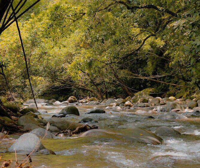 هتل Casa De Hadas