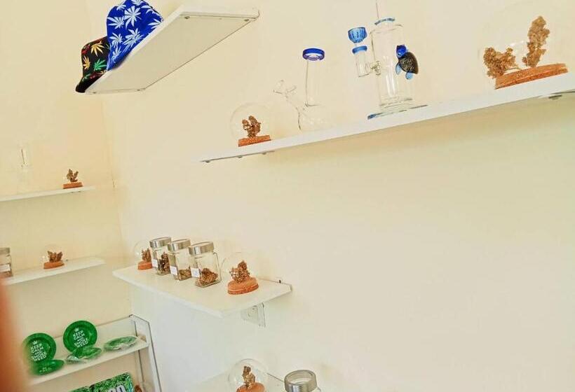 호텔 Castaway S 420