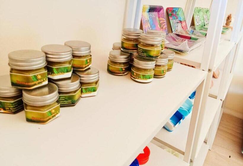 호텔 Castaway S 420