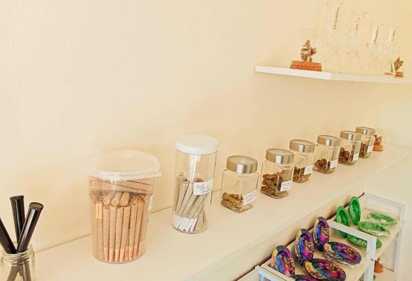 호텔 Castaway S 420