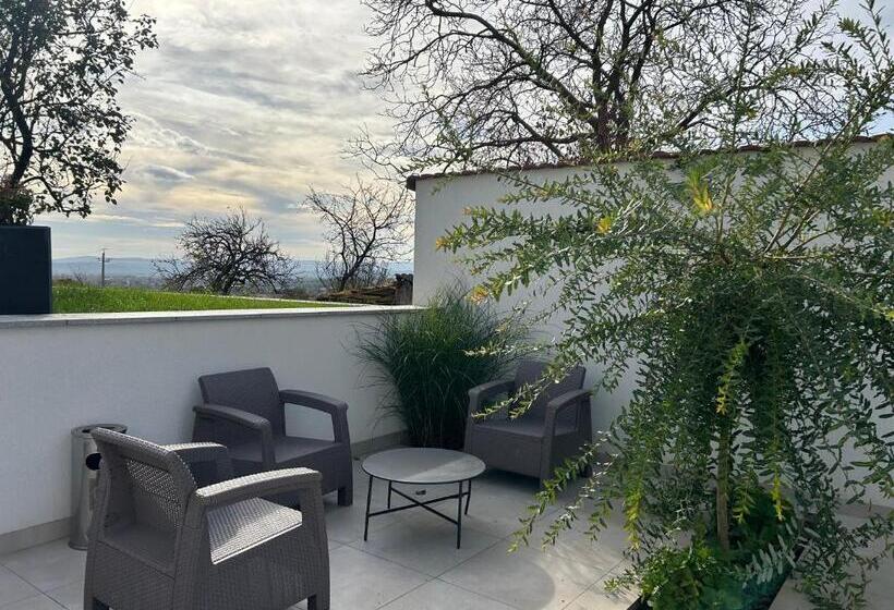 בית מלון כפרי Danelis