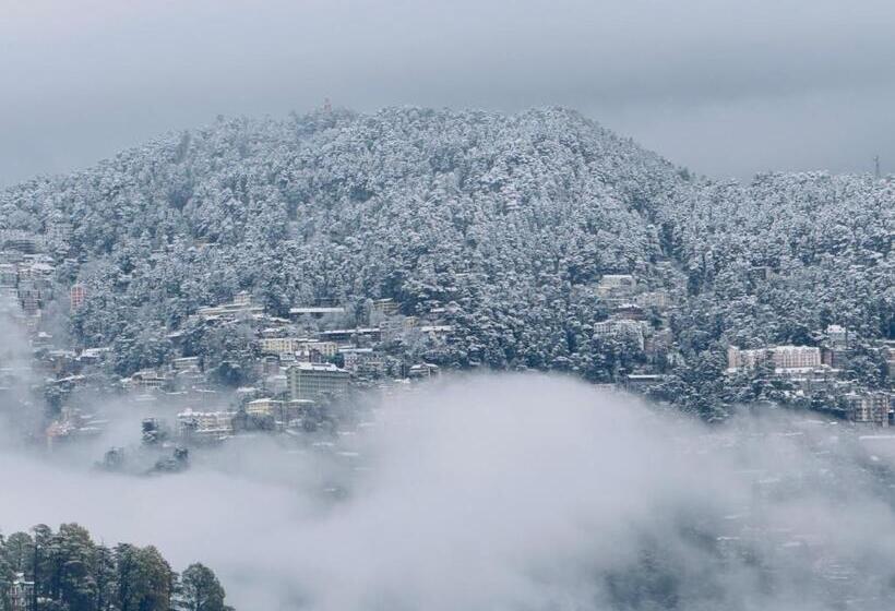 فندق Radiance Regency Resort Chail