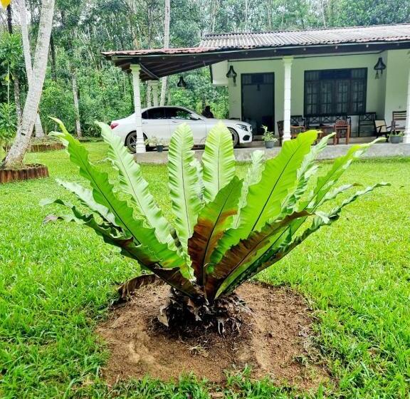 ホテル Jayandra Holiday Bungalow