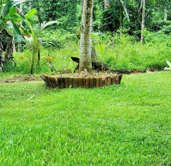 ホテル Jayandra Holiday Bungalow