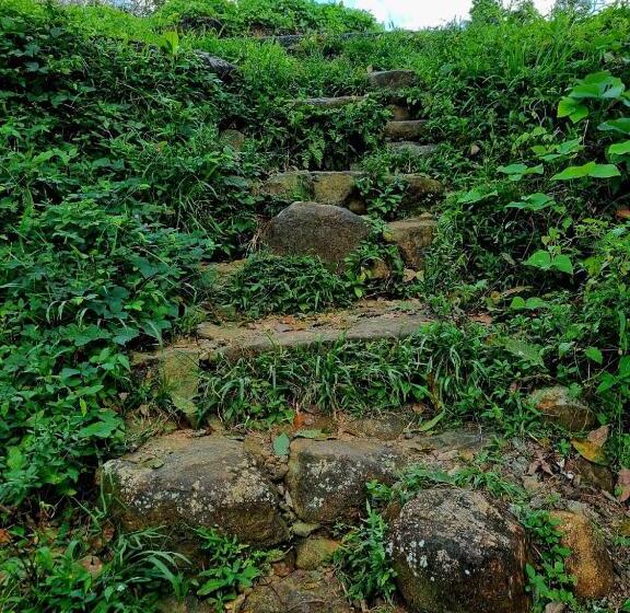 ホテル Jayandra Holiday Bungalow