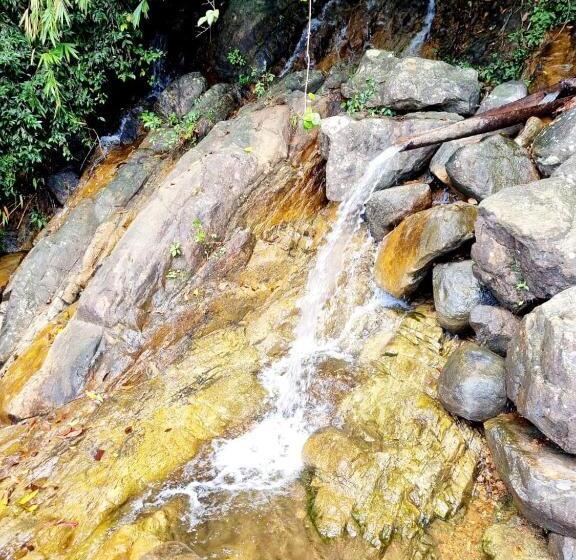 ホテル Jayandra Holiday Bungalow