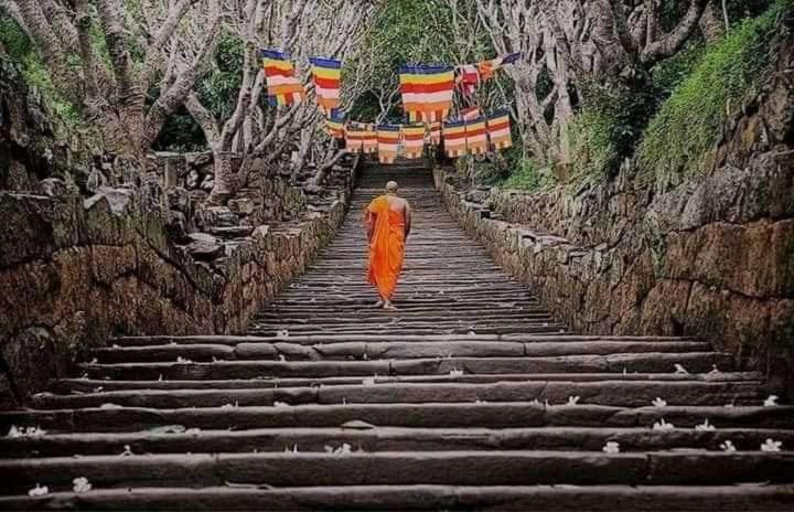 فندق Kumbuk Sewana Villa