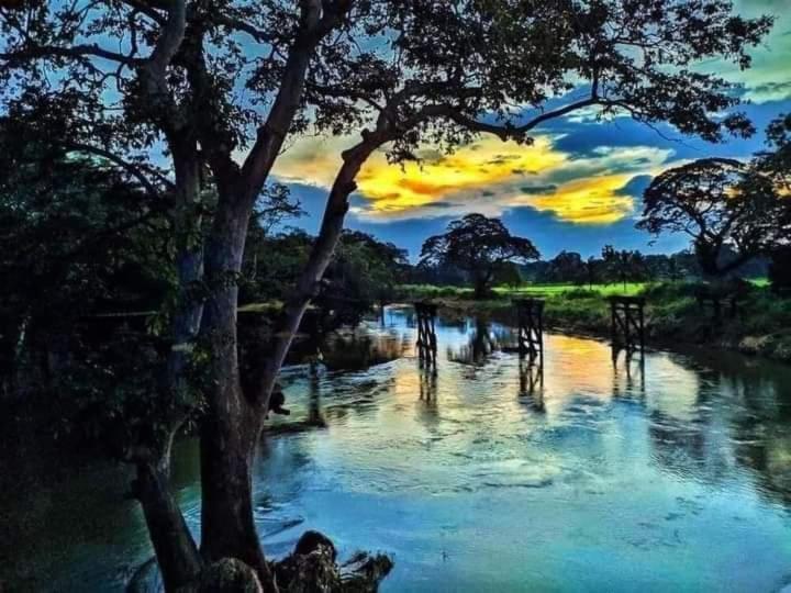 فندق Kumbuk Sewana Villa