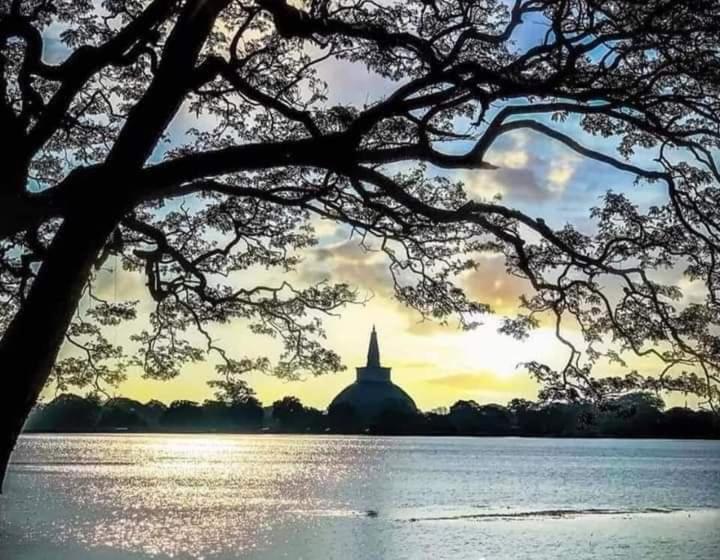 فندق Kumbuk Sewana Villa