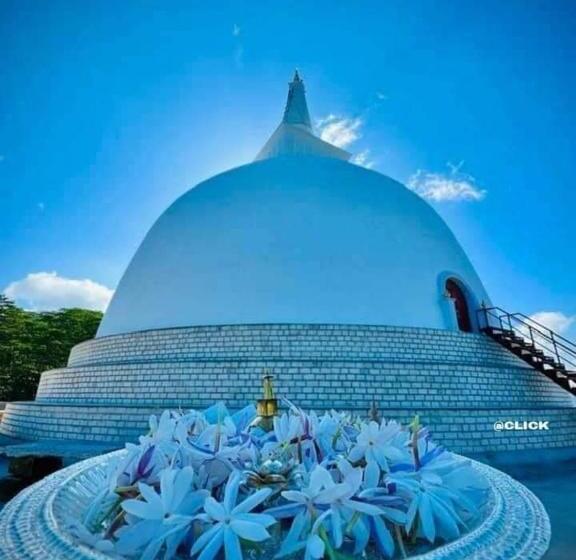 فندق Kumbuk Sewana Villa