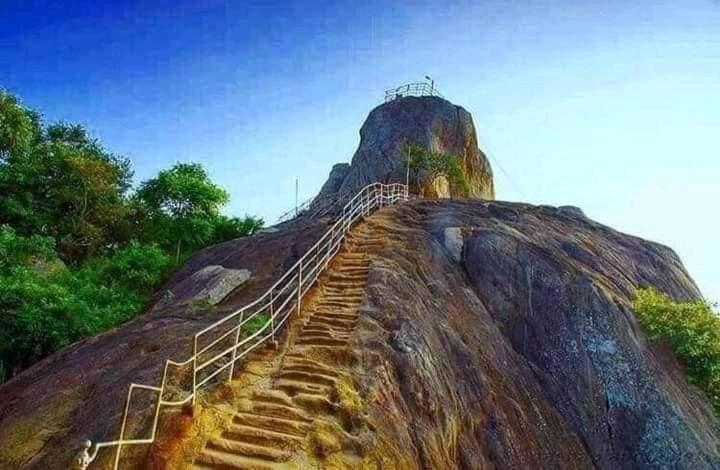 فندق Kumbuk Sewana Villa