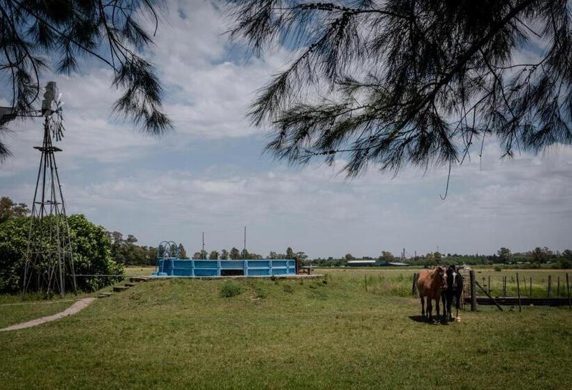 فندق La María Paloma