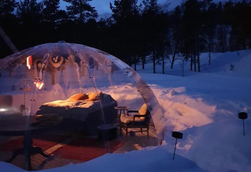 בית מלון כפרי Onga Boutique Lodge