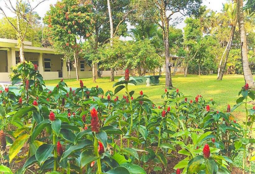 호텔 Paradise Garden Beruwala