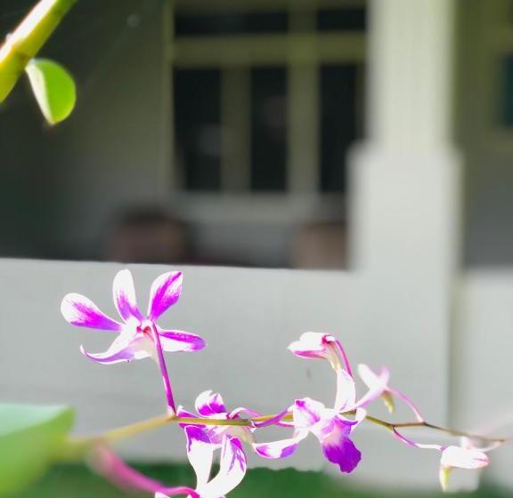 호텔 Paradise Garden Beruwala