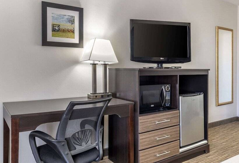 Отель Suburban Studios Gainesville