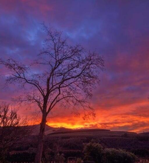 בית מלון כפרי The Oaks