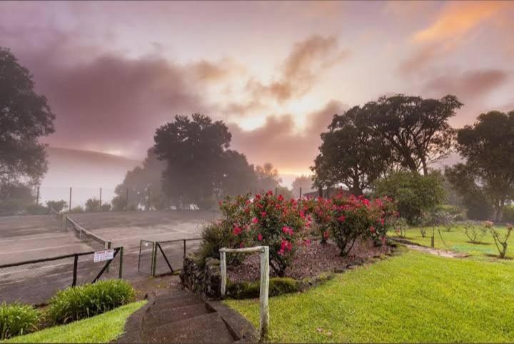 בית מלון כפרי The Oaks