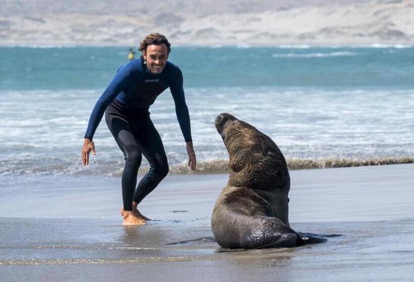 Kite Hotel Máncora   Beach & Gym