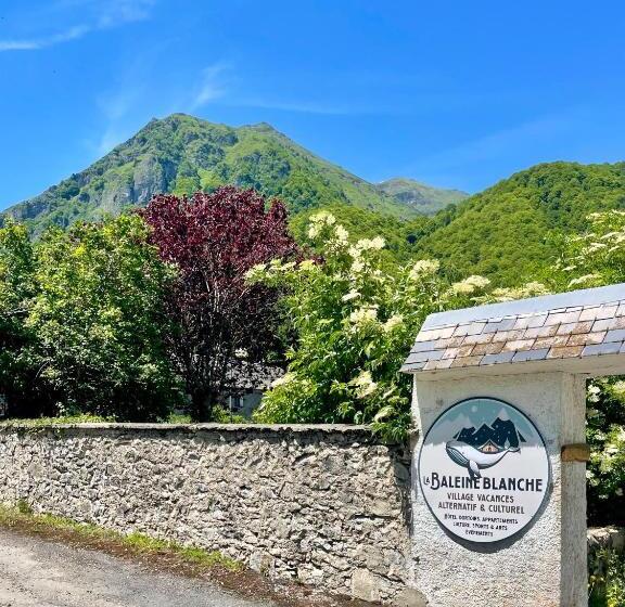 La Baleine Blanche   Hostel