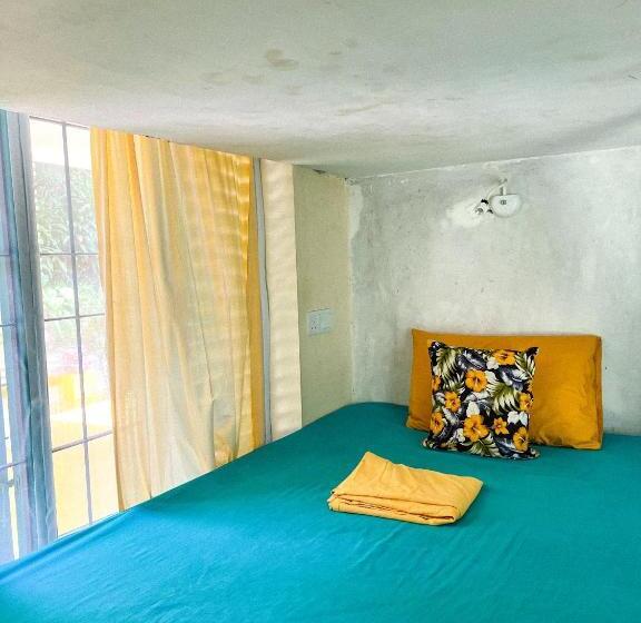 Lazy Monkey Surfhostel   Sri Lanka