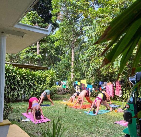 Lazy Monkey Surfhostel   Sri Lanka