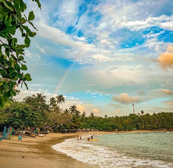 Lazy Monkey Surfhostel   Sri Lanka