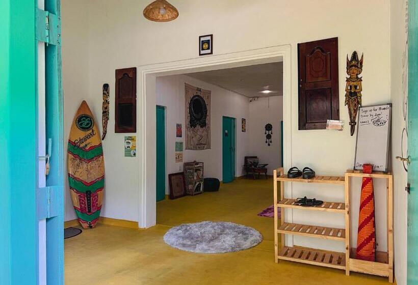 Lazy Monkey Surfhostel   Sri Lanka