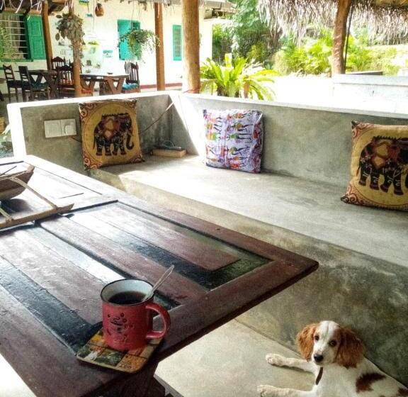 Lazy Monkey Surfhostel   Sri Lanka